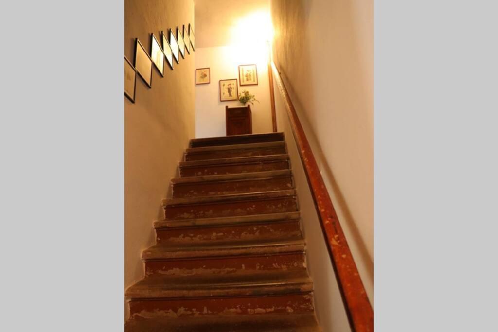 Antiche Fonti Apartment Bibbona Exterior photo